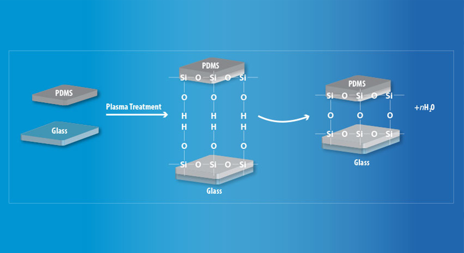 PDMS等離子鍵合方法 提高PDMS表面親水性、生物相容性、附著性 PDMS等離子鍵合方法 提高PDMS表面親水性、生物相容性、附著性